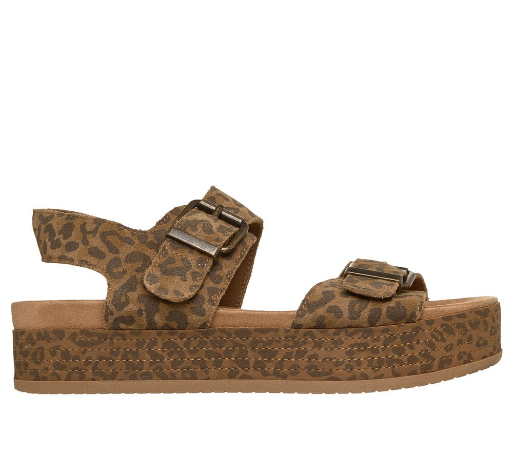 LEOPARD,6.0,Medium